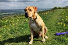 IMG_1743-e1475694330593