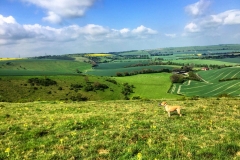 IMG_1745-e1475694317580