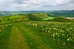 IMG_5078-e1475694290844