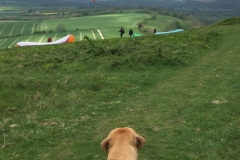 IMG_5108-e1475694261809