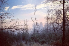 batch_IMG_3793