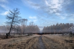 batch_IMG_3801