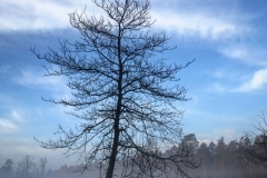 batch_IMG_3802