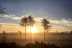 batch_IMG_3804