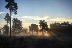 batch_IMG_3806
