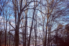 batch_IMG_3811