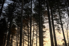 batch_IMG_3812