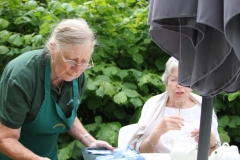 IMG_0990-e1476128146806