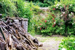 IMG_0997-e1476128024263