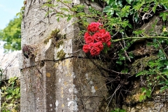 IMG_0998-e1476128007570