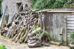 IMG_0999-e1476127988900