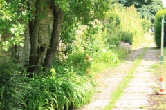 IMG_1000-e1476127975572