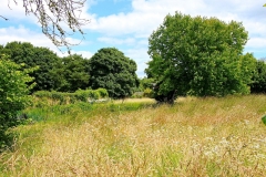 IMG_1002-e1476127942555