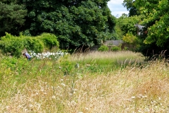 IMG_1003-e1476127931951