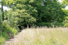 IMG_1005-e1476127897420