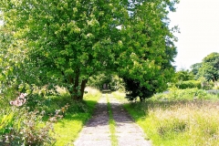 IMG_1006-e1476127883512