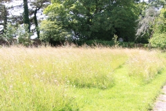 IMG_1007-e1476127870492