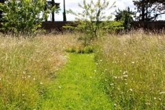 IMG_1008-e1476127857974