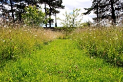 IMG_1009-e1476127844258