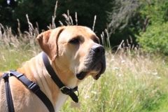 IMG_1010-e1476127833804