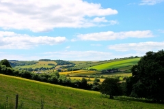 IMG_1879-e1476127728996