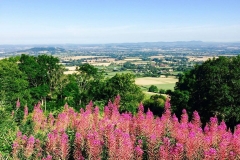 IMG_2421-e1475614839998