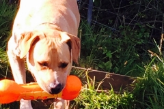 IMG_2423-e1475614815513