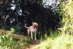 IMG_2425-e1475614780665