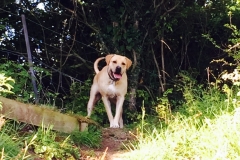 IMG_2426-e1475614768234