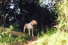 IMG_2427-e1475614730246