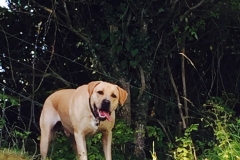 IMG_2428-e1475614715388