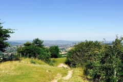 IMG_2429-e1475614701926