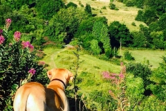 IMG_2436-e1475614643290