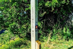 IMG_2437-e1475614628723