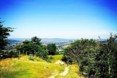 IMG_2439-e1475614603878