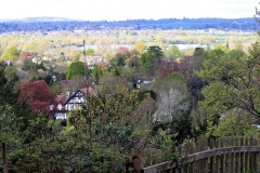 batch_IMG_0582