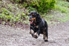 batch_IMG_0598