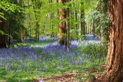 batch_IMG_0637