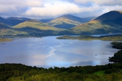 11924809_10153169229666446_5502210036597518204_o-e1475353710806