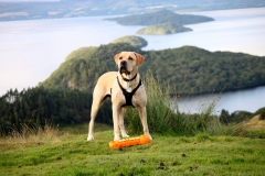 11934493_10153169284511446_6472908115862606174_o-e1475353389629