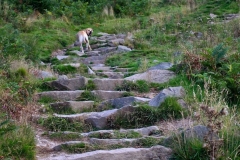 11947927_10153168831811446_6189848611171834813_o-e1475353356721