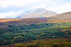 11951700_10153169331061446_4174001263479969903_o-e1475353326461