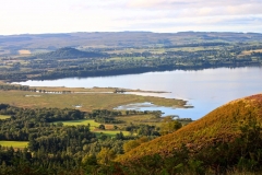 11952965_10153169225446446_7012958403992521999_o-e1475353296255