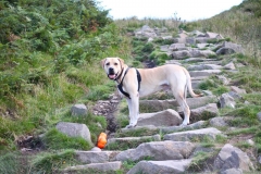 11953619_10153169198211446_1922813063471152627_o-e1475353267725