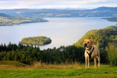 11953656_10153169282086446_1513651433951647661_o-e1475353254527