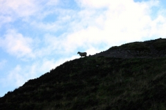 11958310_10153169354641446_7573905232483324578_o-e1475353199198