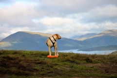 11999842_10153169223111446_5568150647290149237_o-1-e1475353143559