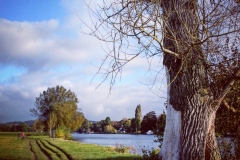 IMG_2894-e1476999021992