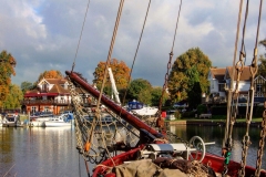 IMG_2910-e1476998709567