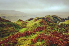 batch_IMG_8033
